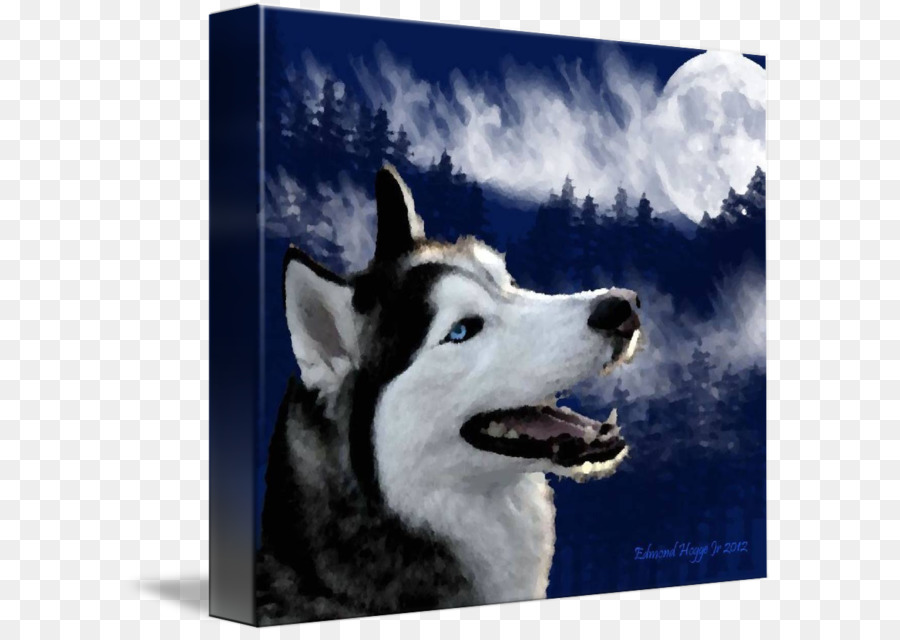 Husky Siberiano，Sakhalin Husky PNG