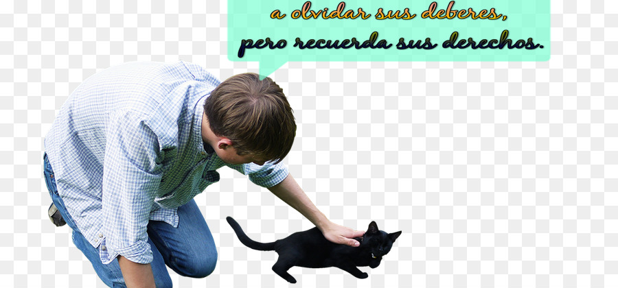 Gato，Cañutillo PNG