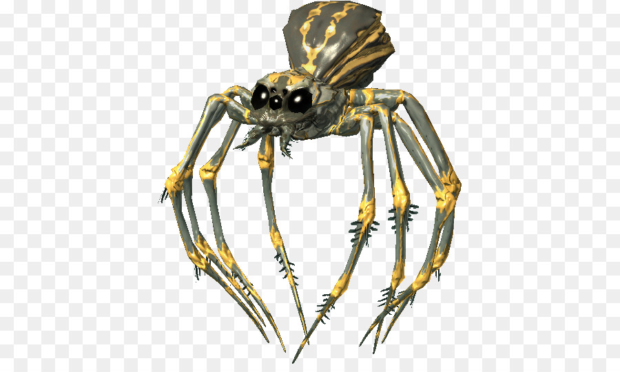 Araña，Espeluznante PNG