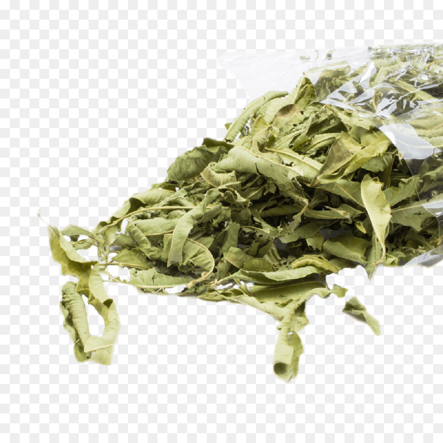 Sencha，Hoja Vegetal PNG