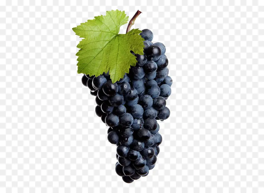 Vine De Uva Común，Vino PNG