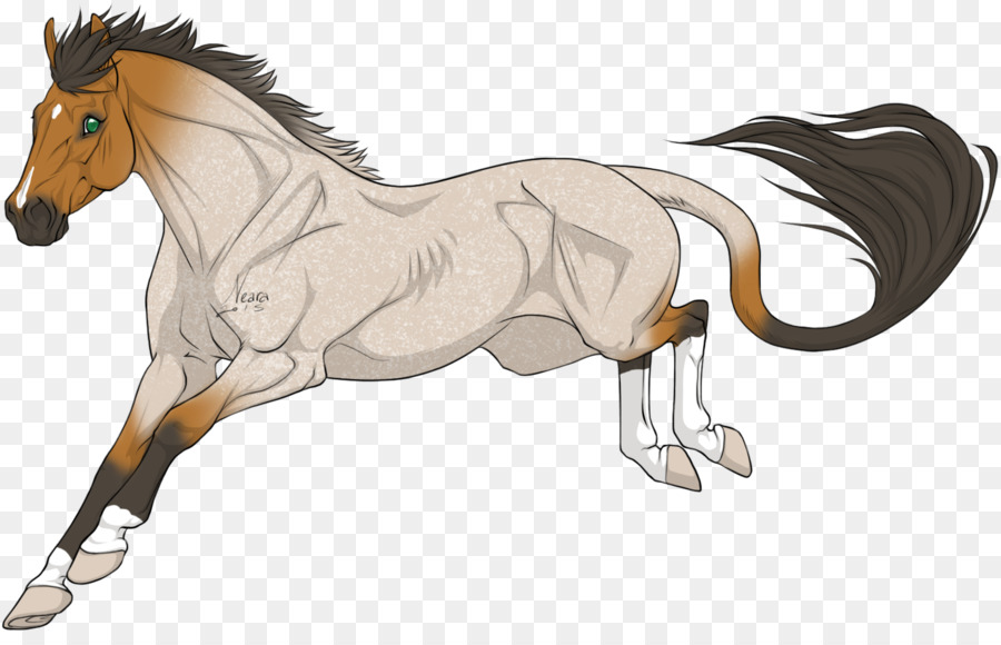 Foal，Stallion PNG