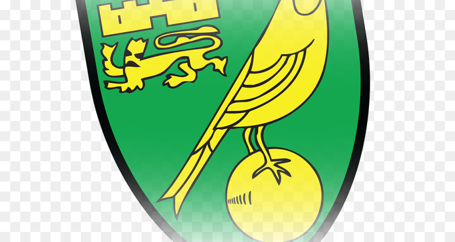 El Norwich City Fc，Efl Campeonato PNG