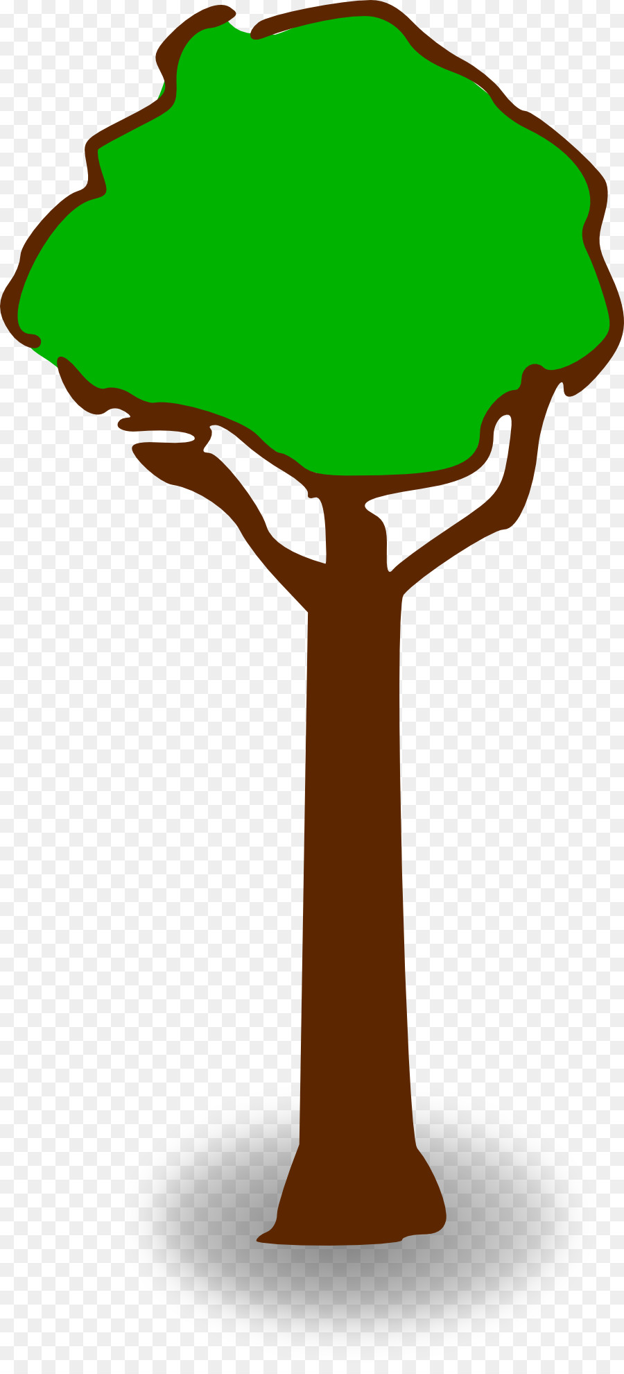 árbol，Planta PNG