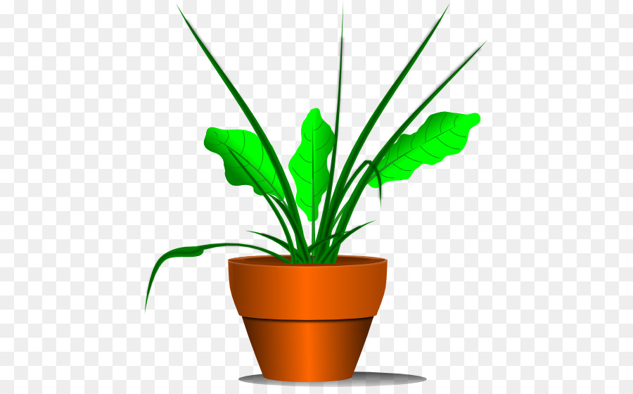 Planta De Interior，Planta PNG