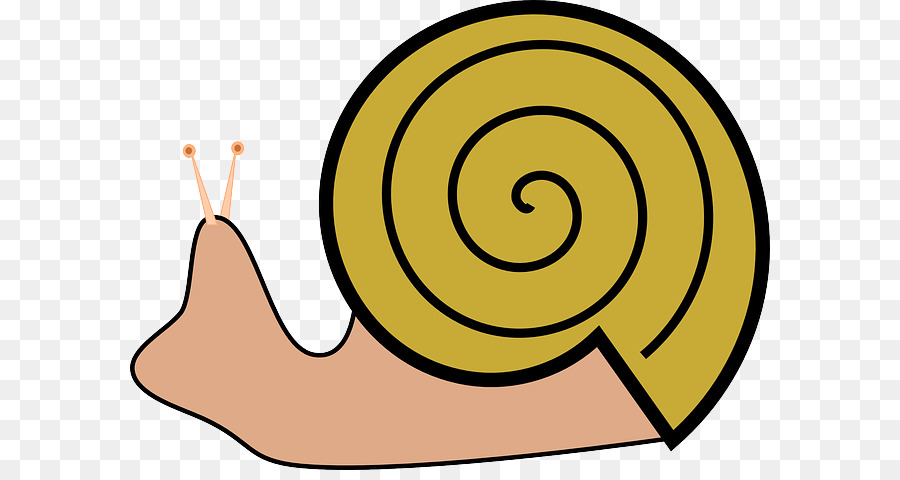 Caracol，Caracol De Mar PNG