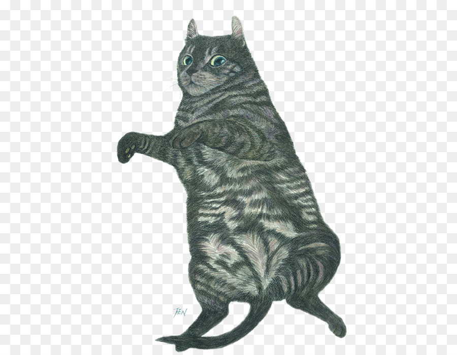 Gato Atigrado，Europeo De Pelo Corto PNG