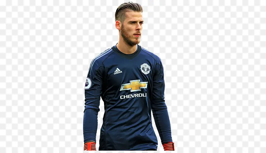 David De Gea，La Fifa 18 PNG