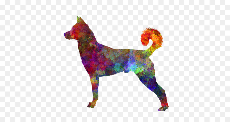 Canaán Perro，Perro De Montaña Bernés PNG