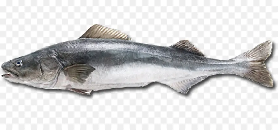 Bacalao，Pastel De Pescado PNG