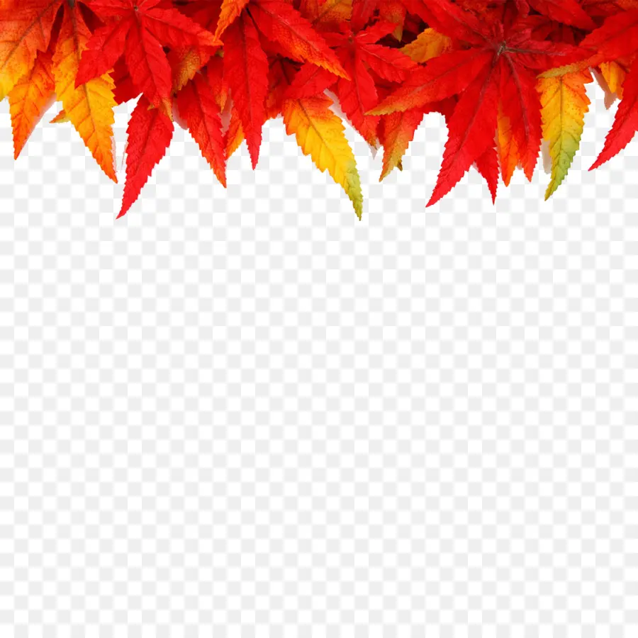 Hojas De Otoño，Caer PNG