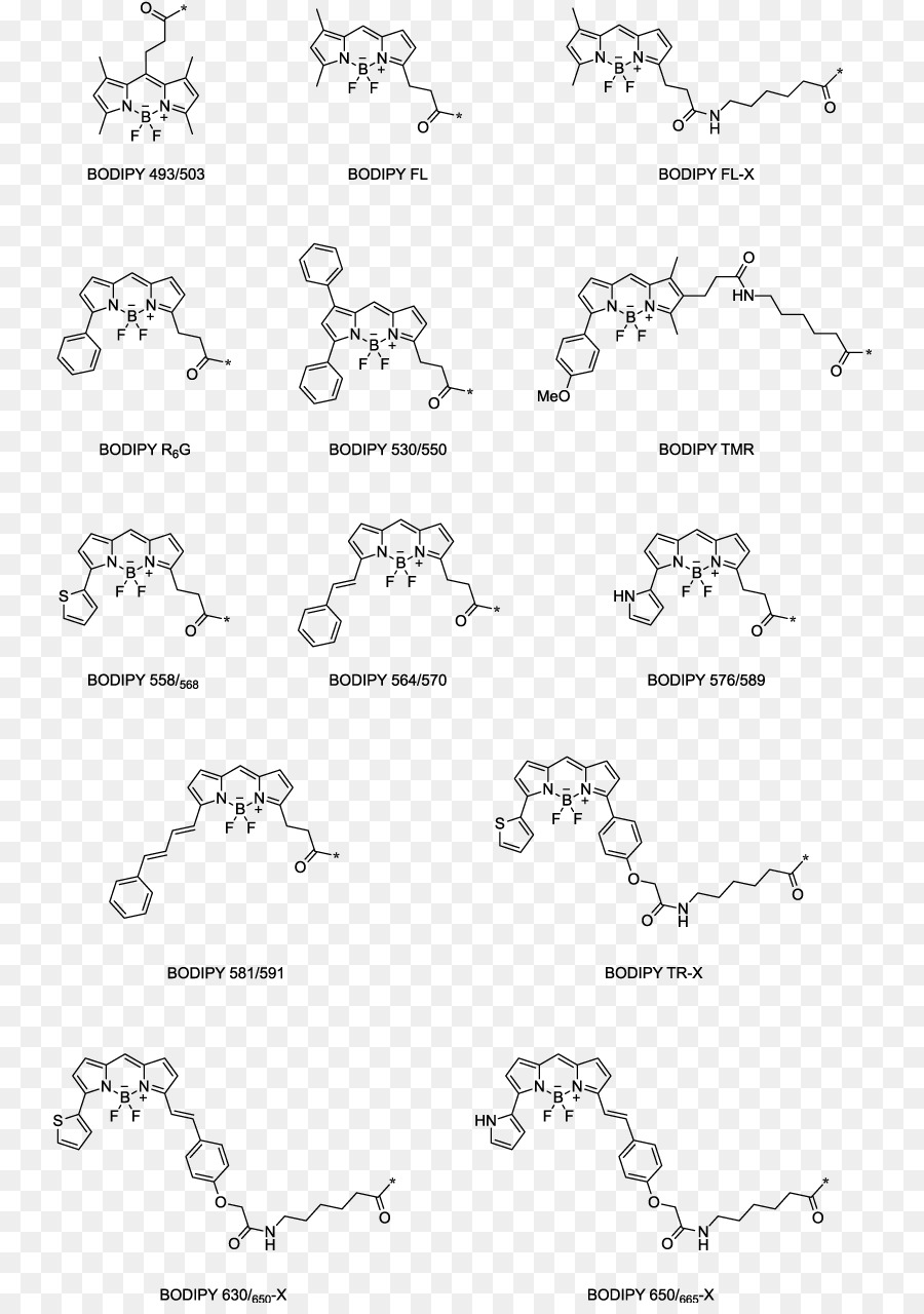 Bodipy，Fluoróforo PNG