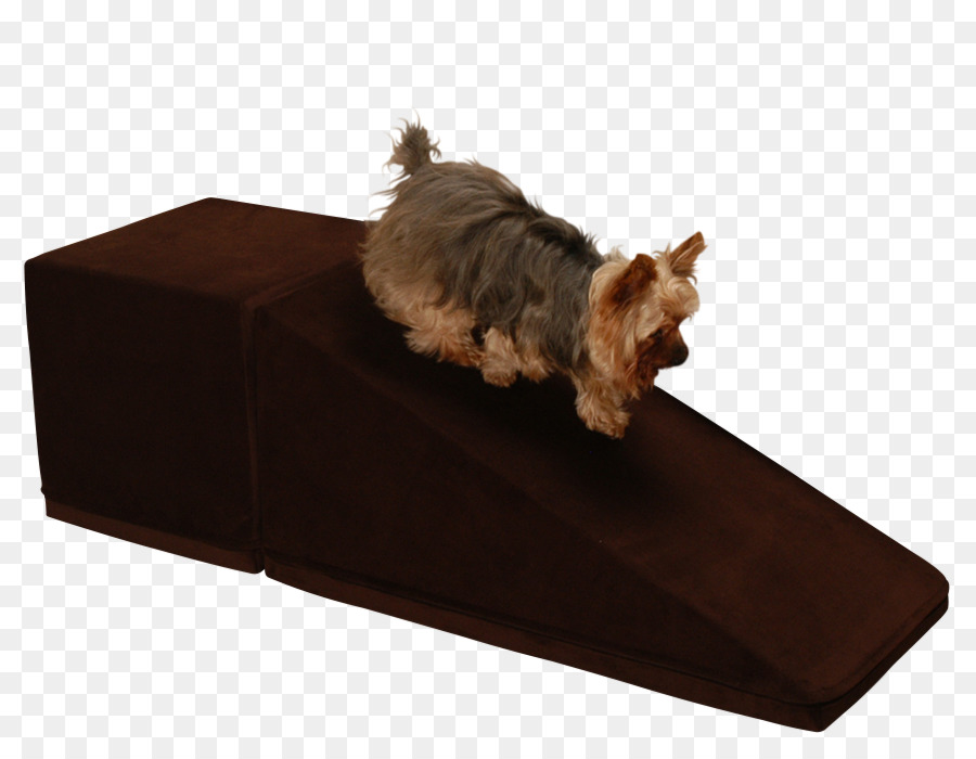 Raza De Perro，Yorkshire Terrier PNG