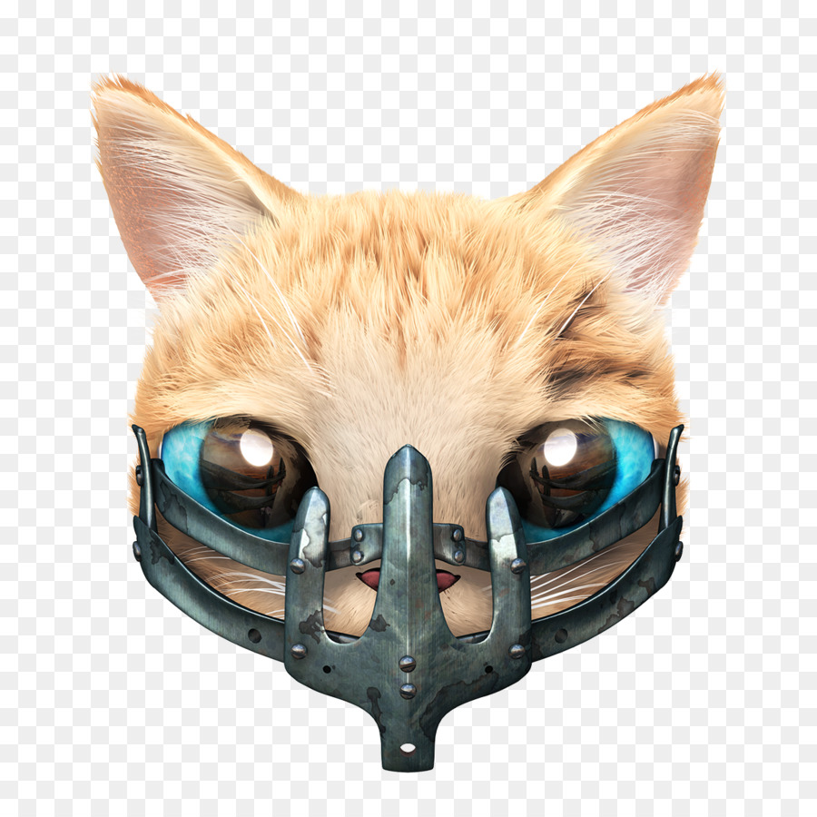 Bigotes，Gato PNG