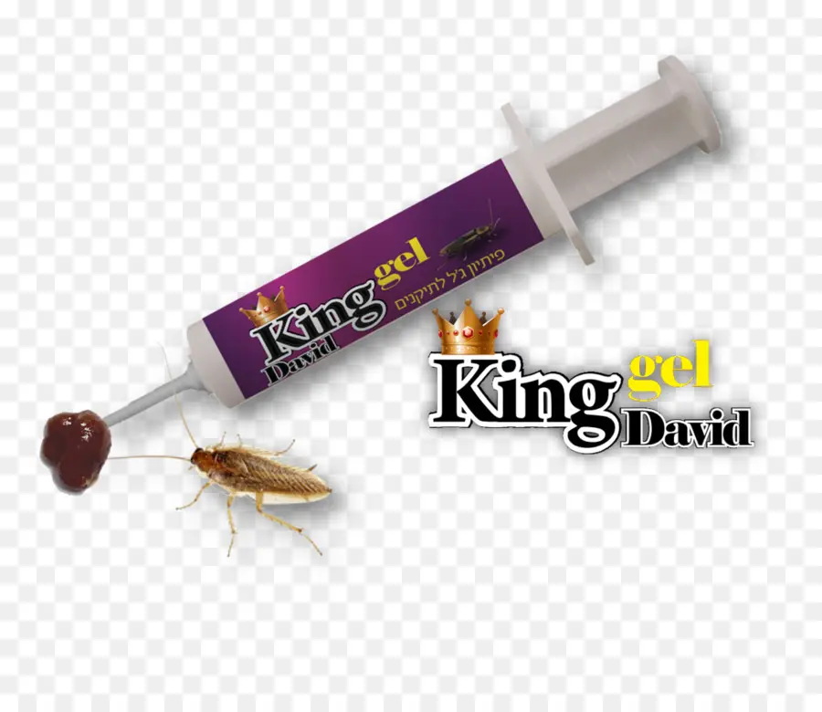 Cucaracha，Los Insectos PNG