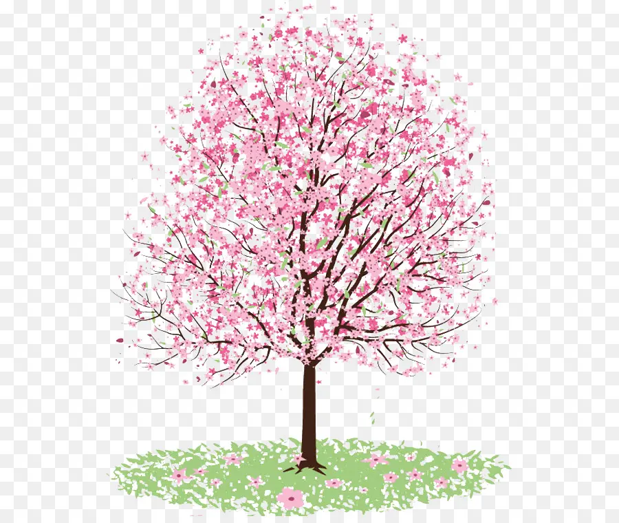 Árbol De Cerezo En Flor，árbol En Flor PNG