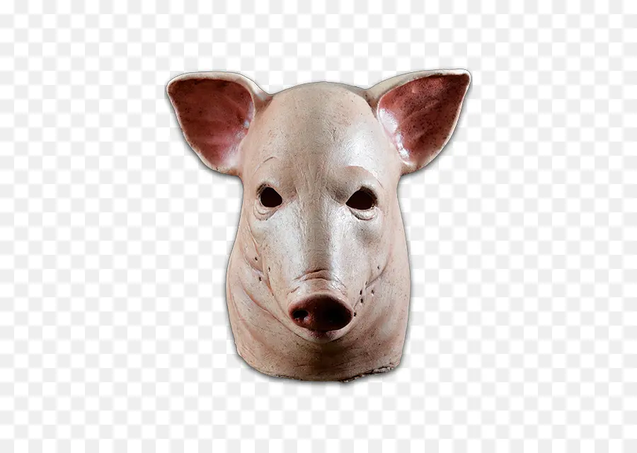 Máscara De Cerdo，Animal PNG