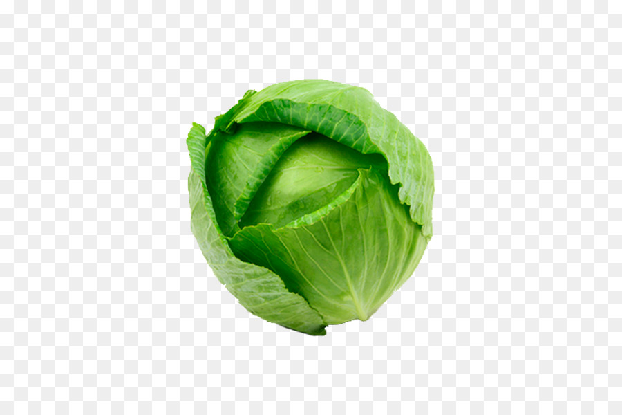 Lechuga Romana，Berza PNG