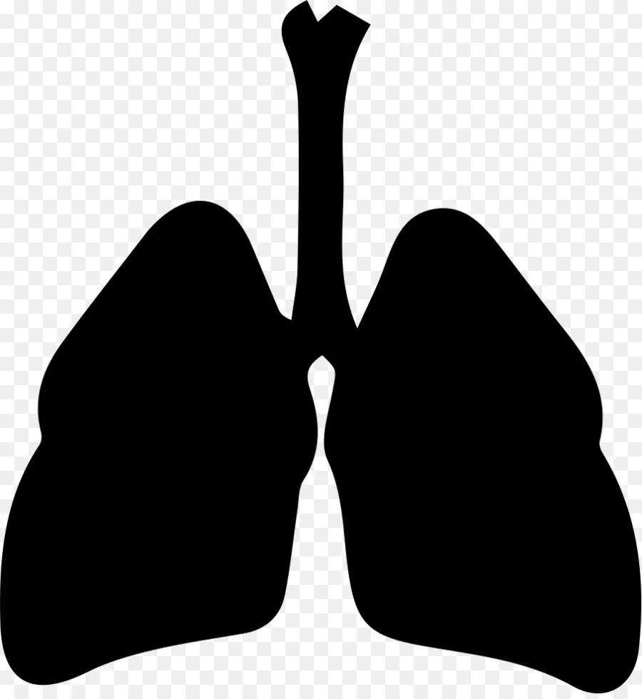 Pulmones Negros，Salud PNG