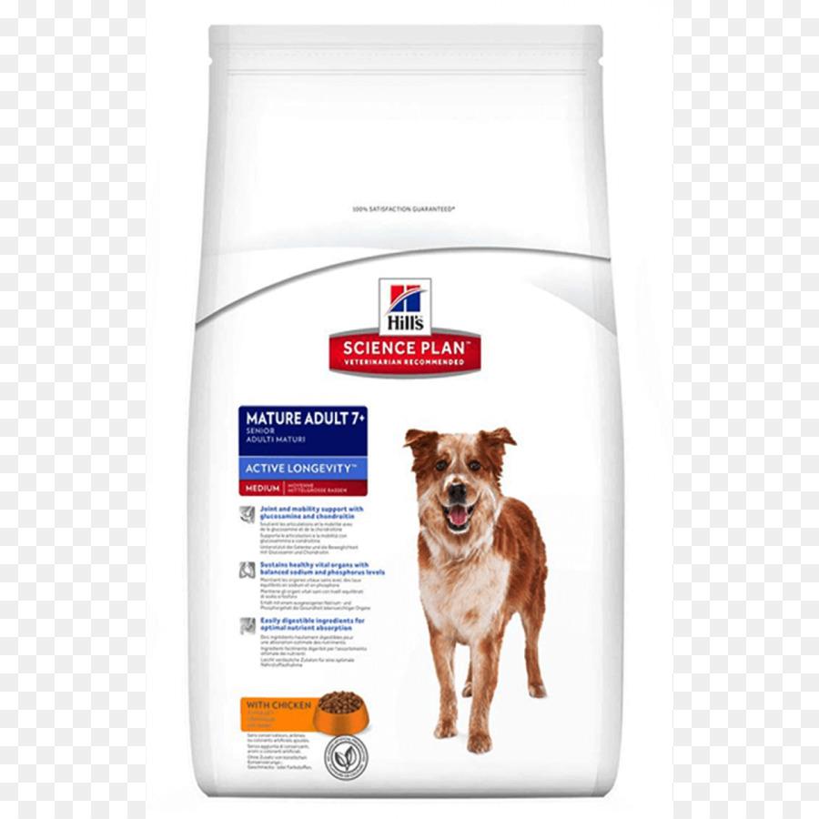 Perro，Hill S Pet Nutrition PNG