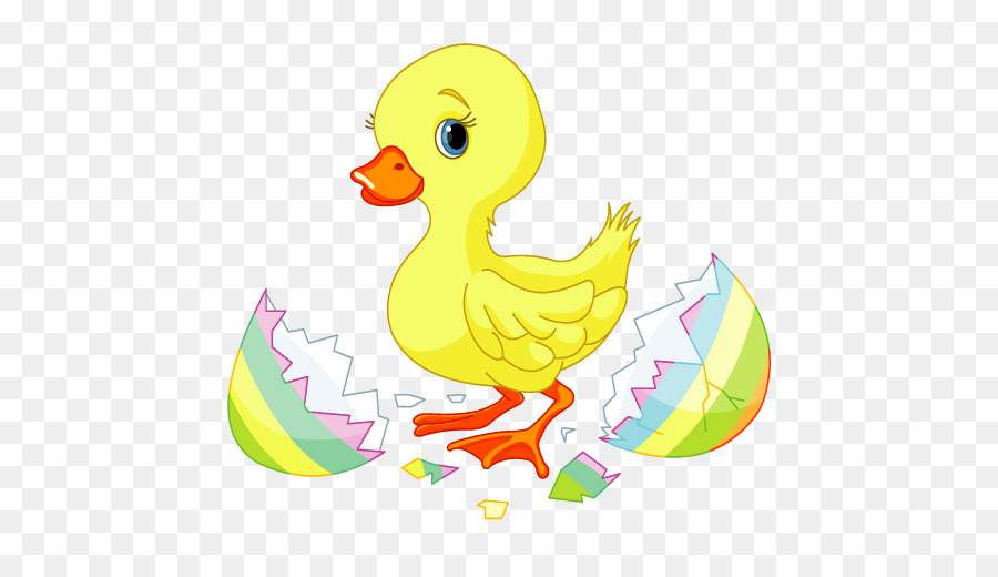 Pato，Conejito De Pascua PNG