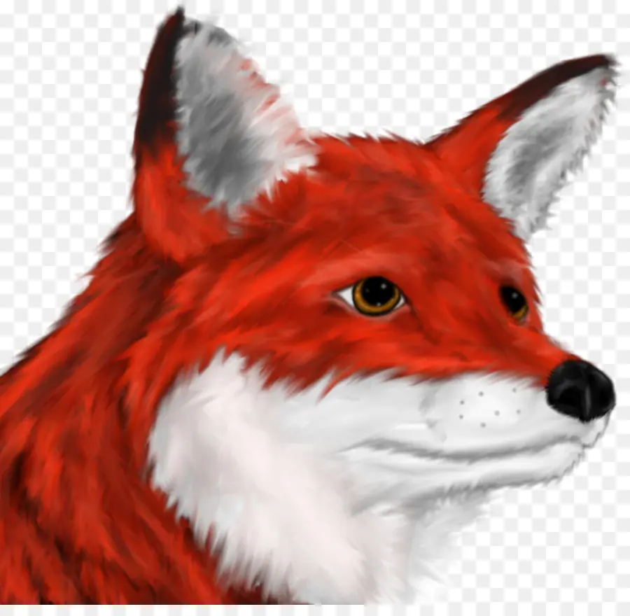 Zorro Rojo，Fox PNG