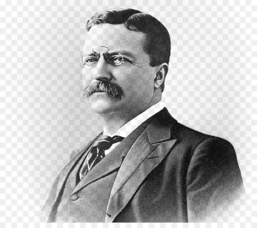 Theodore Roosevelt，Cita PNG