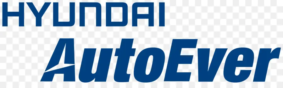 Hyundai Motor Company，Hyundai Starex PNG