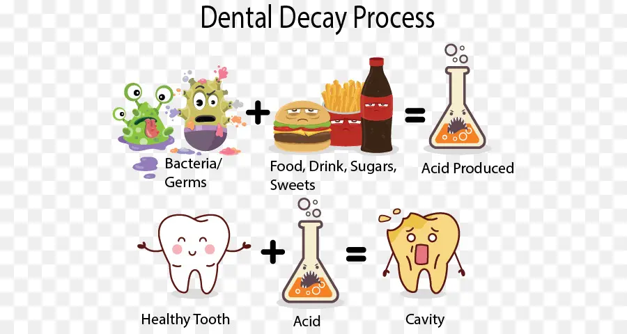 La Caries Dental，Diente PNG