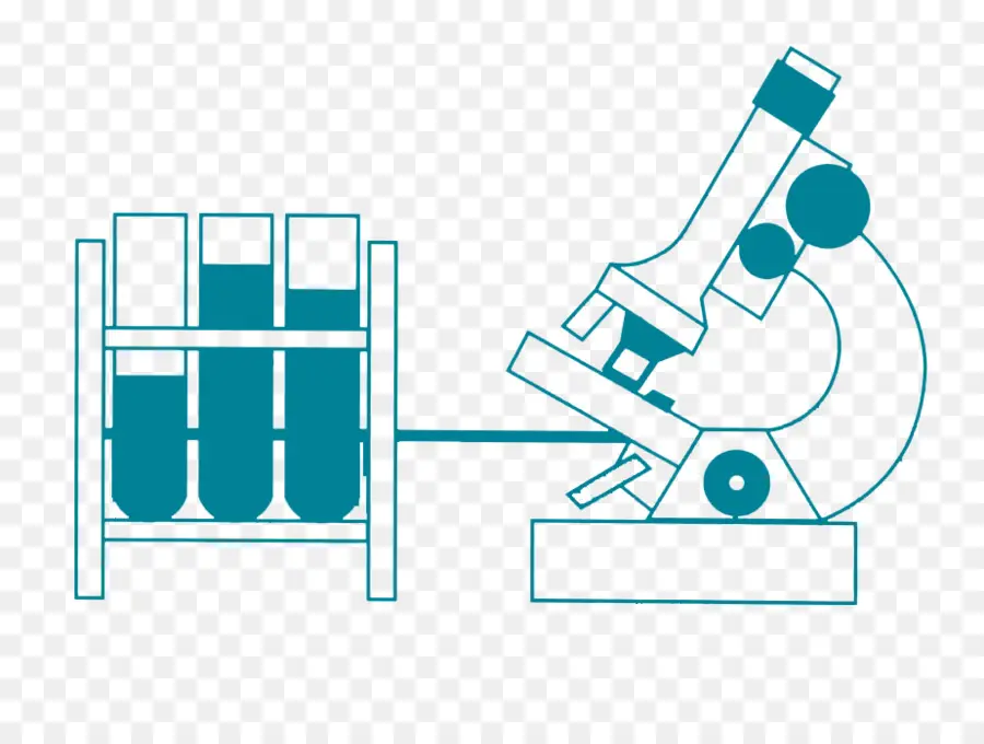 Anàlisi Clínica，Laboratorio Médico PNG