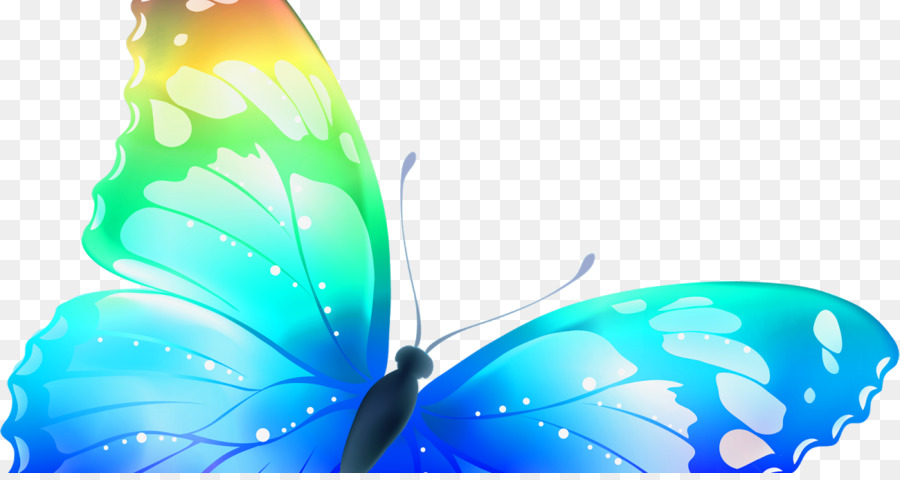 Mariposa，Fondo De Escritorio PNG