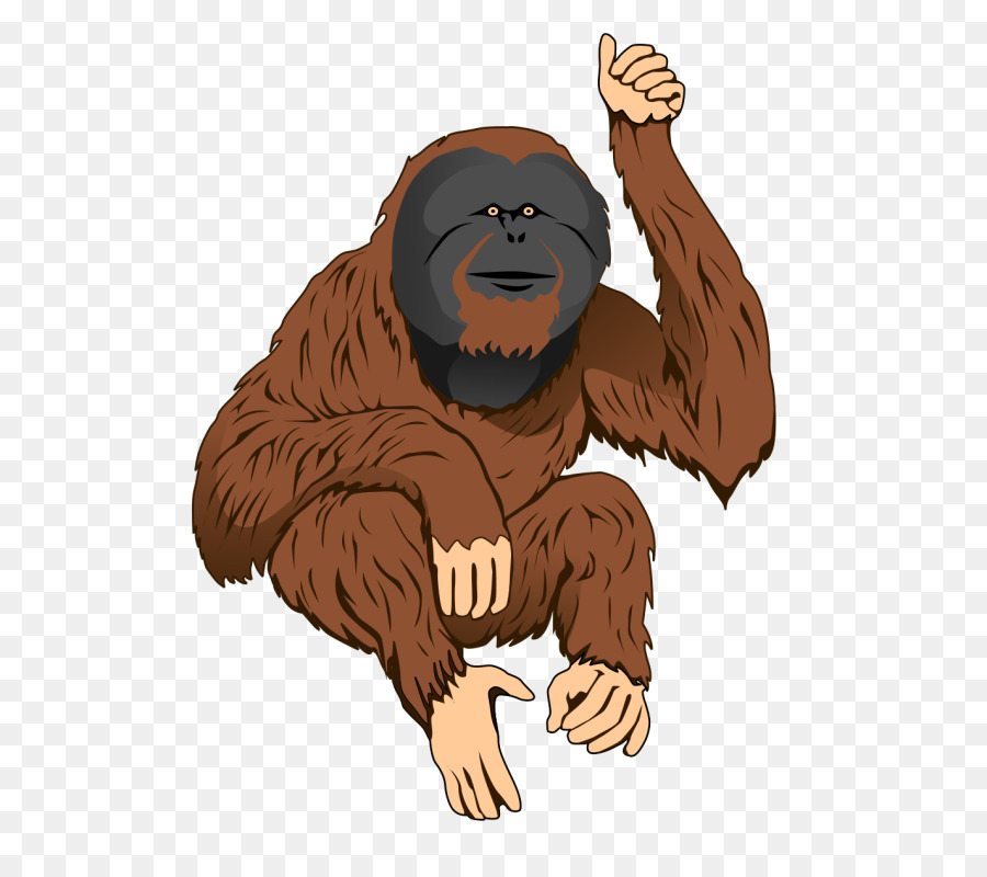 Ape，Orangután PNG