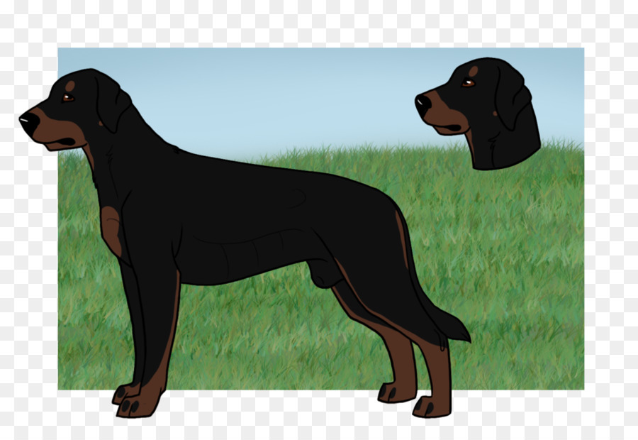 Black And Tan Coonhound，Hound Negro Austriaco Y Bronceado PNG