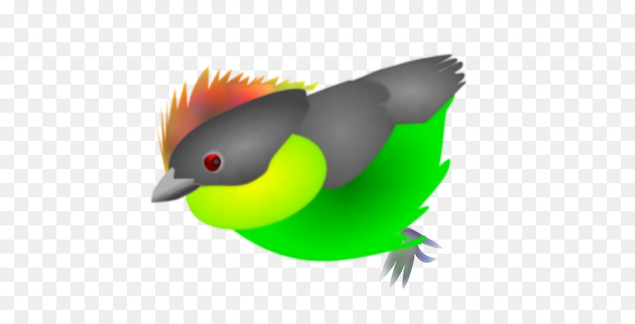 Pico，Pájaro PNG