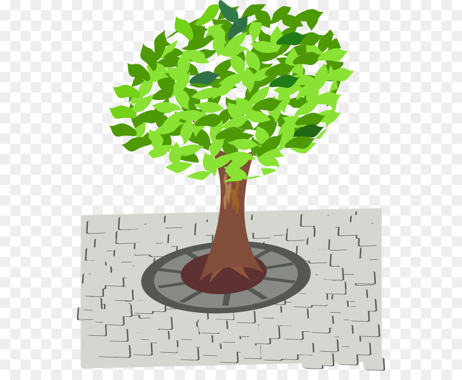árbol，Iconos De Equipo PNG