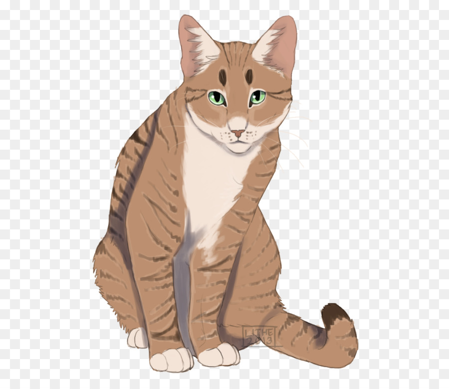 Gato Gris，Mascota PNG