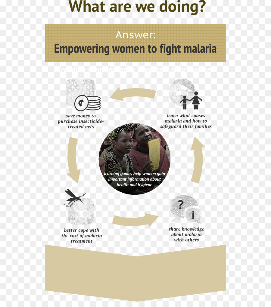 El Día Mundial Del Paludismo，La Malaria PNG