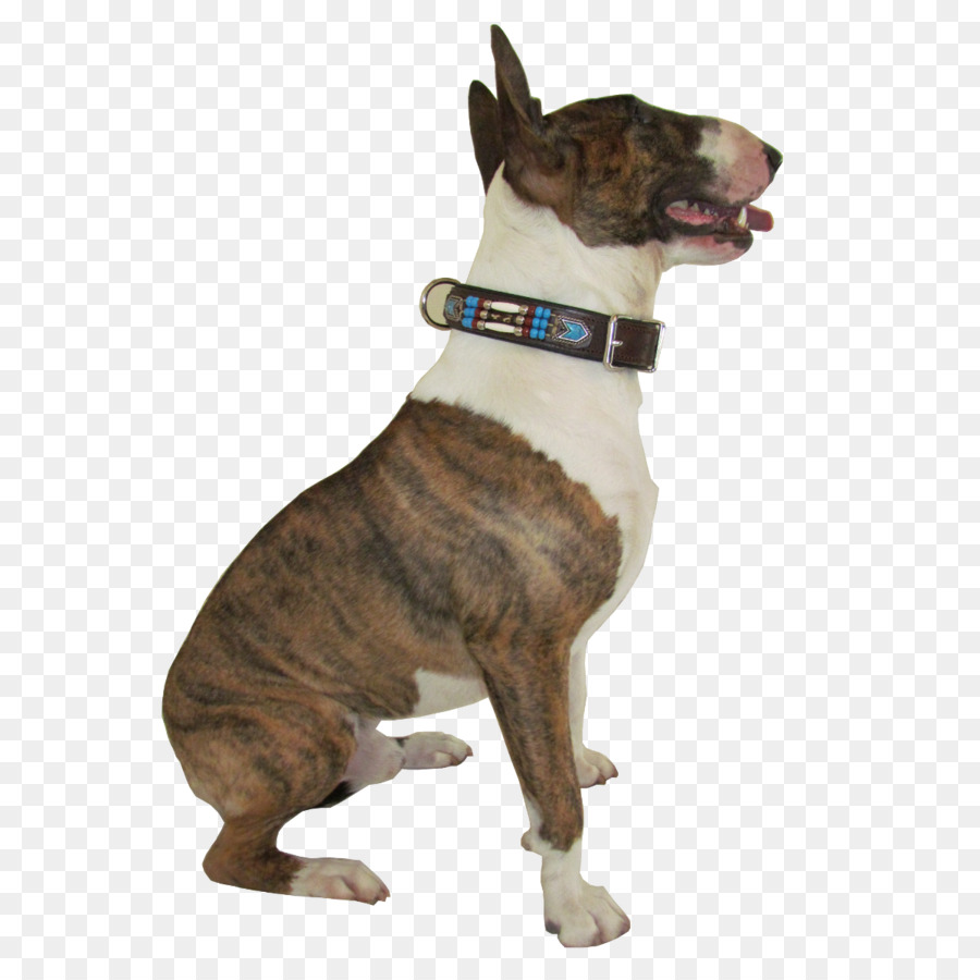 Raza De Perro，Inglés Antiguo Terrier PNG