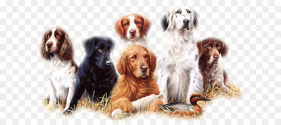 Perros，Mascotas PNG