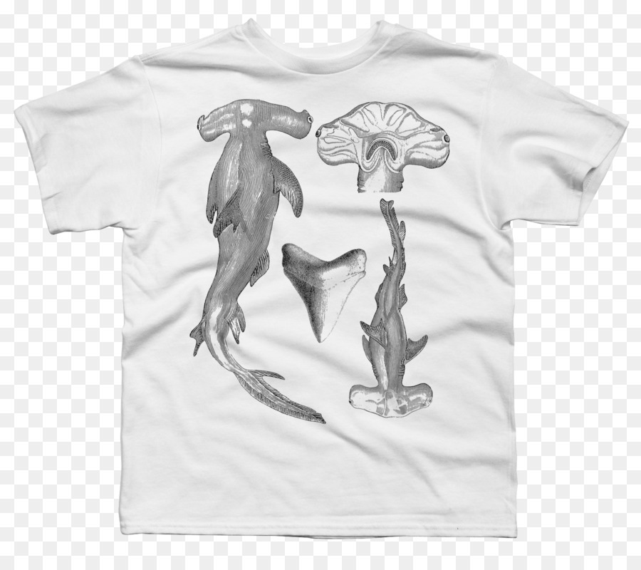 Camiseta，Tiburón PNG