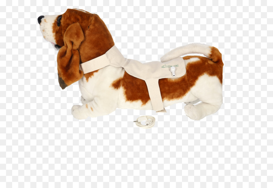 Beagle，Cachorro PNG