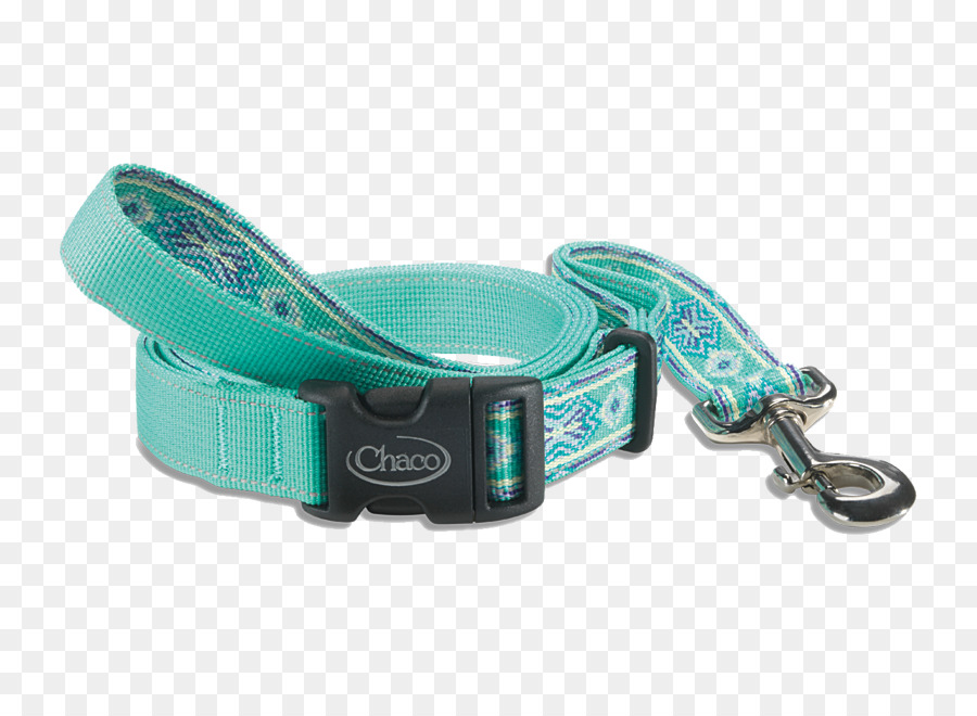 Collar De Perro，Turquesa PNG