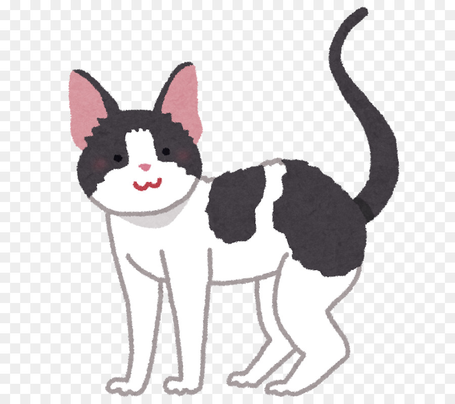 Bigotes，Gatito PNG