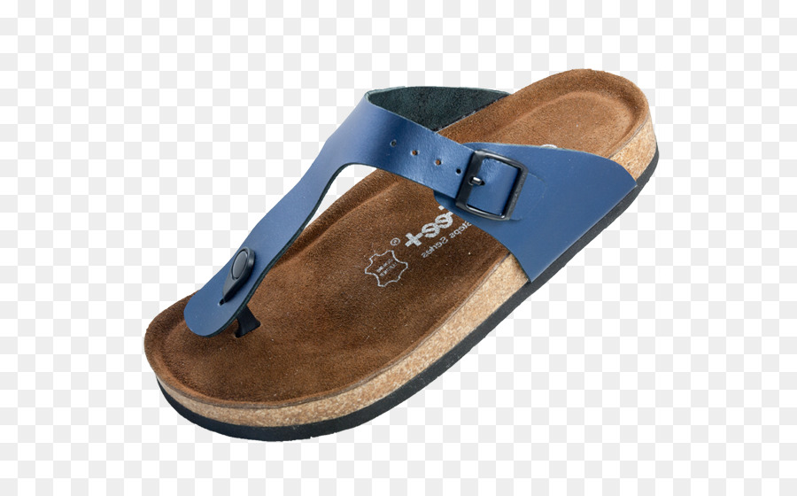 Zapatilla，Flipflops PNG