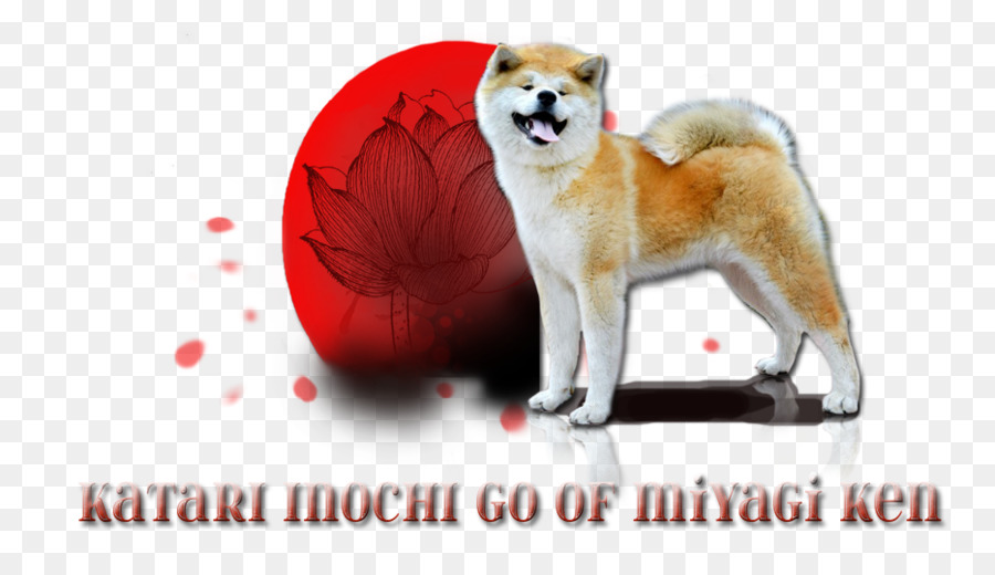 Raza De Perro，Shiba Inu PNG