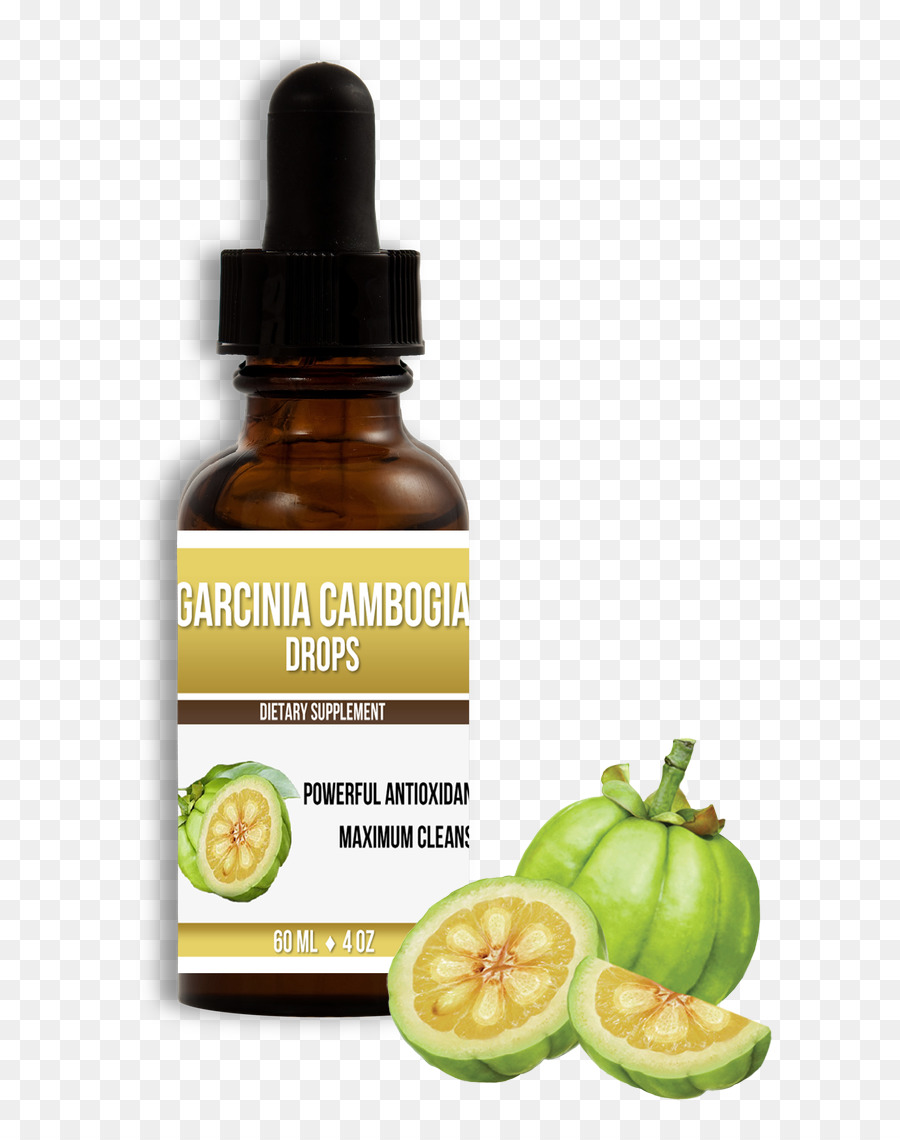 Suplemento Dietético，Garcinia Gummigutta PNG