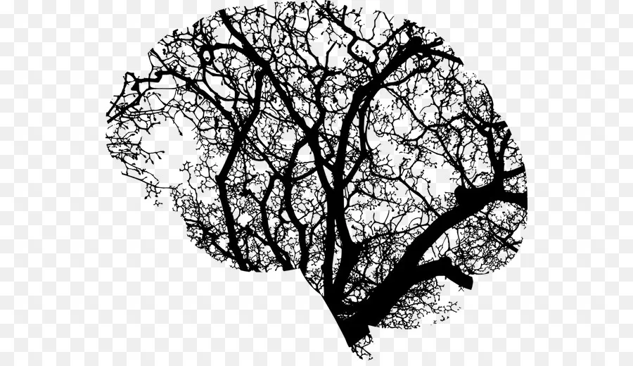 Cerebro，árbol PNG