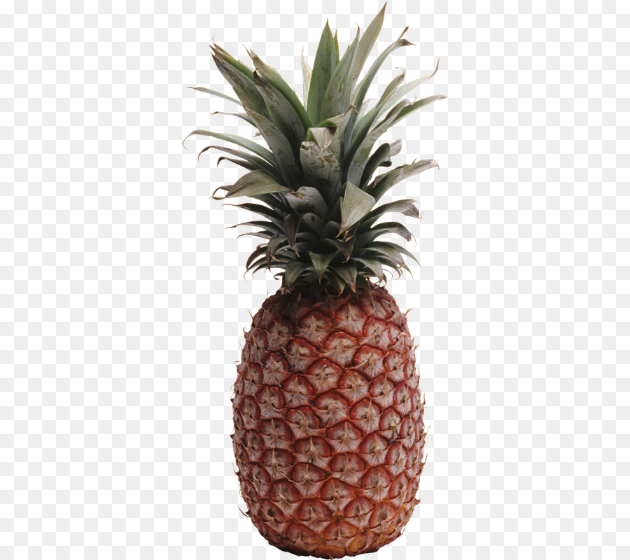 Piña，La Dieta De La Dieta PNG