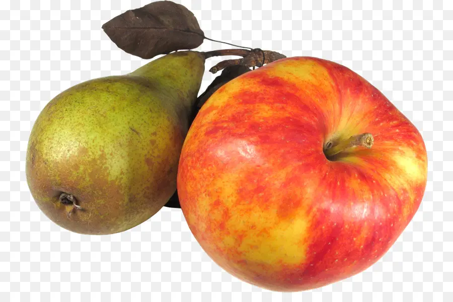 Apple，Pepita PNG