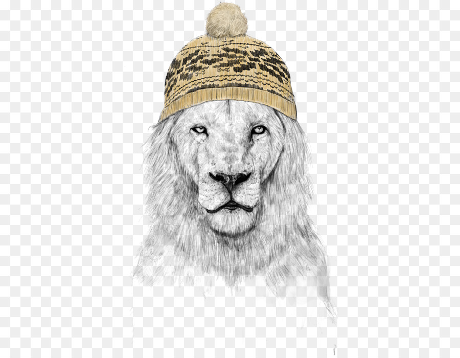 León，Sombrero PNG